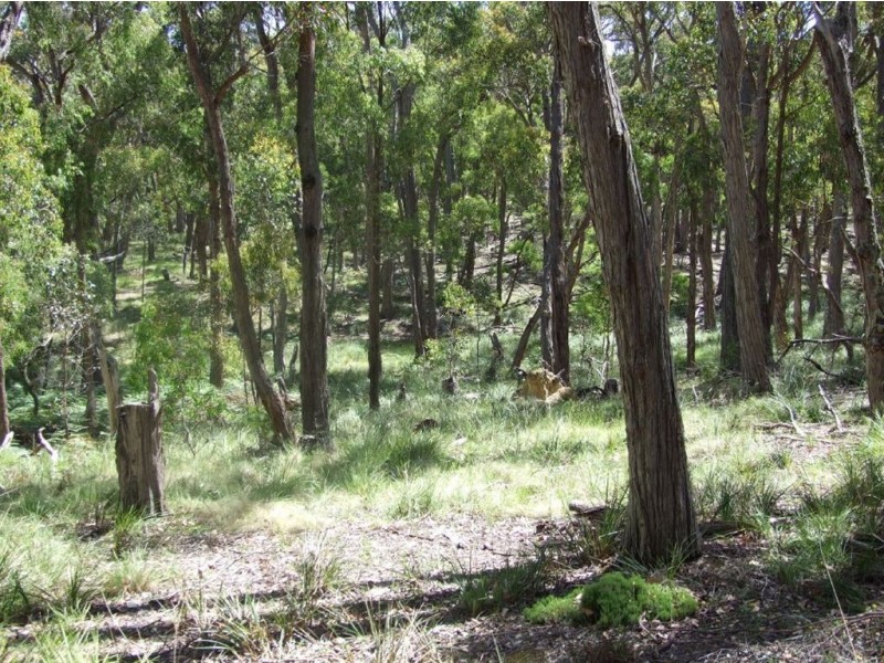 C/A 46C Platts Road, Scotsburn VIC 3352