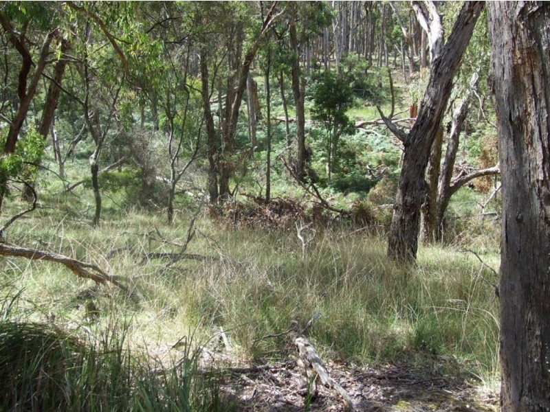 C/A 46C Platts Road, Scotsburn VIC 3352