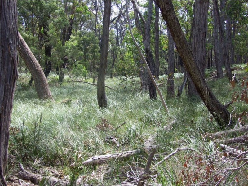 C/A 46C Platts Road, Scotsburn VIC 3352