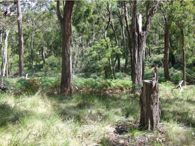 C/A 46C Platts Road, Scotsburn VIC 3352