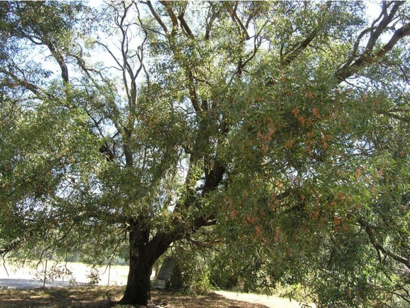 59 Basalt Road, Eganstown VIC 3461