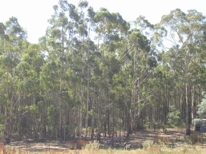 59 Basalt Road, Eganstown VIC 3461