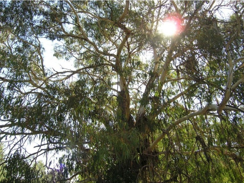 59 Basalt Road, Eganstown VIC 3461