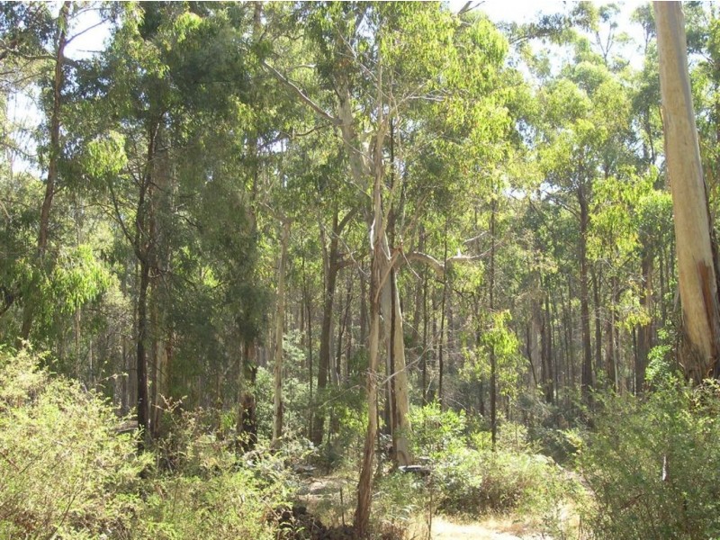 59 Basalt Road, Eganstown VIC 3461