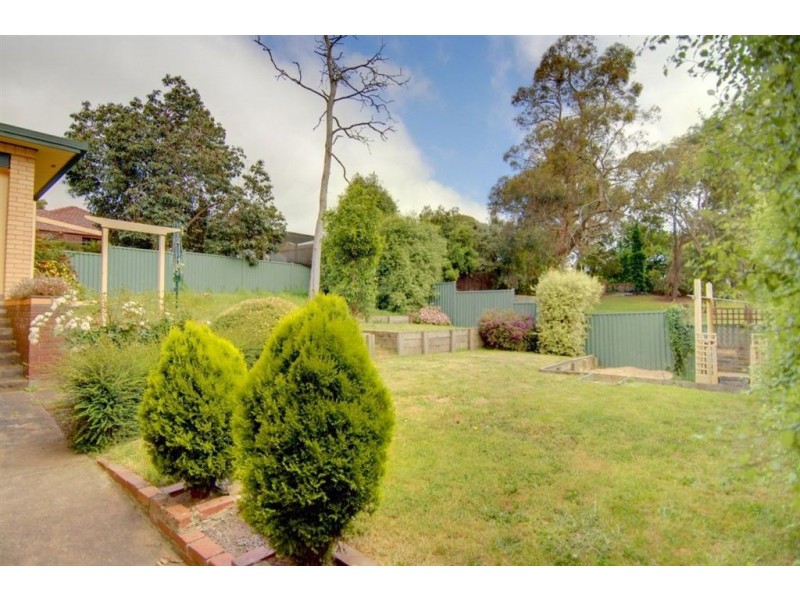 8 Walker Street, Ballarat North VIC 3350