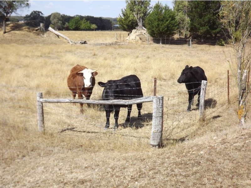 Lot 38 Billabong Road, Haddon VIC 3351