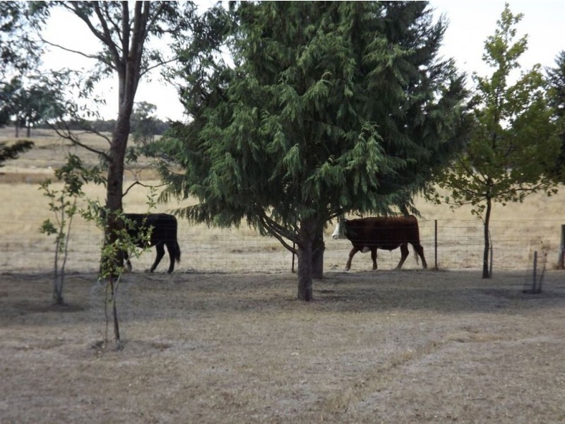 Lot 38 Billabong Road, Haddon VIC 3351