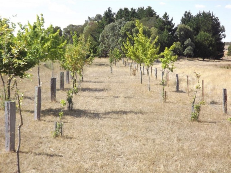 Lot 38 Billabong Road, Haddon VIC 3351