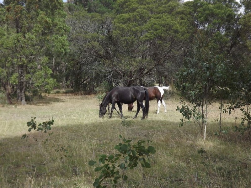 5 Inglewood Drive, Enfield VIC 3352