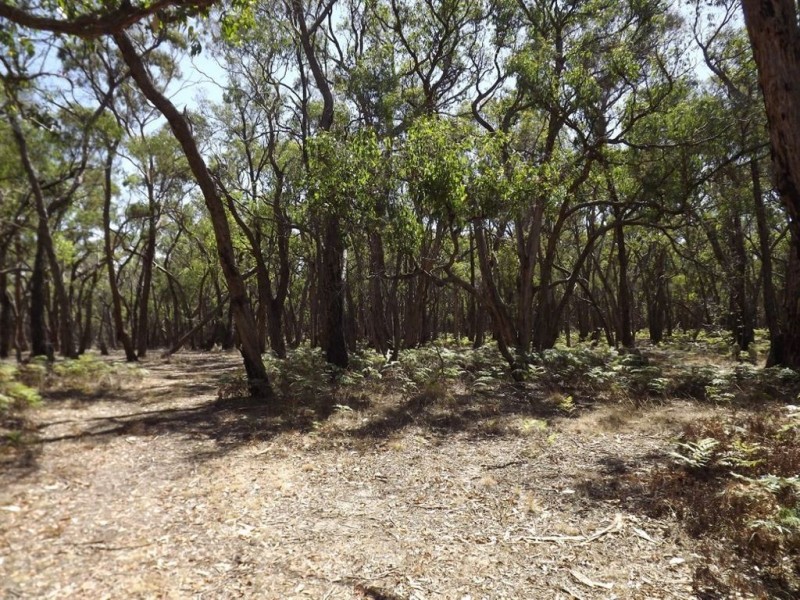 270 Tippets Road, Dereel VIC 3352