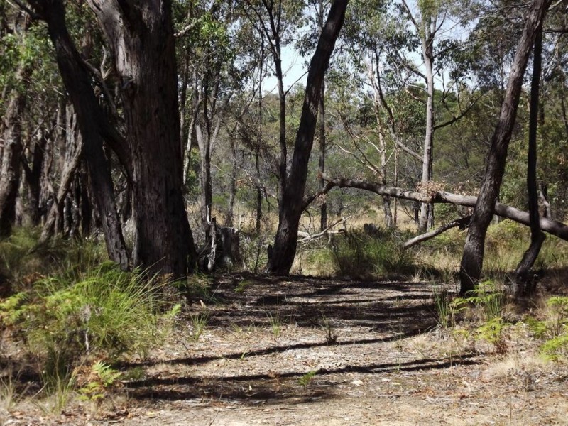 270 Tippets Road, Dereel VIC 3352