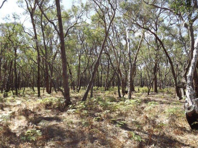 270 Tippets Road, Dereel VIC 3352