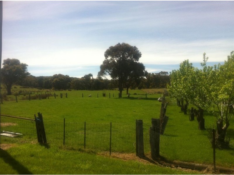 194 Whiteswan Road, Invermay VIC 3352