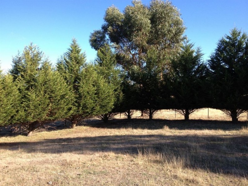 87D Yendon Road, Mount Egerton VIC 3352