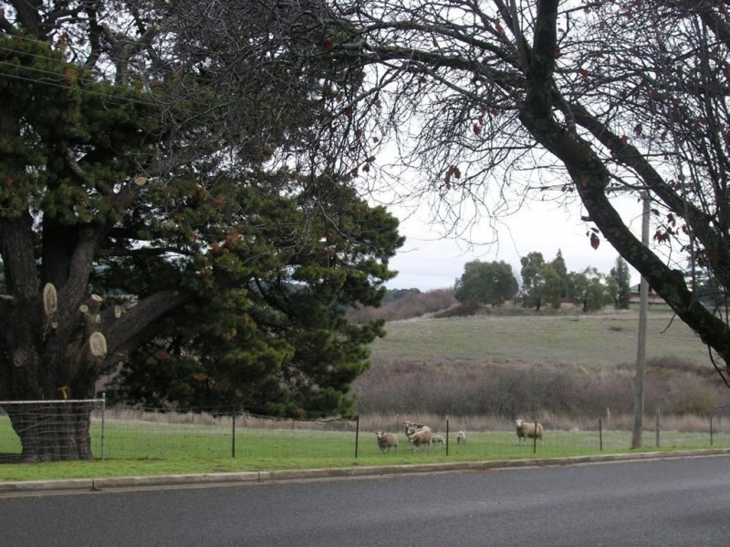 29 Jory Street, Creswick VIC 3363