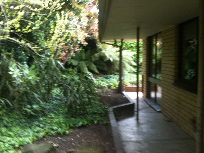 405 Bradshaw Street, Mount Pleasant VIC 3350