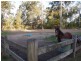 21 Rosella Place, Wauchope NSW 2446