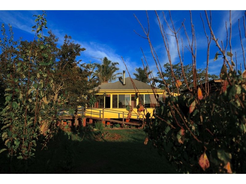 17 Comboyne Street, Comboyne NSW 2429