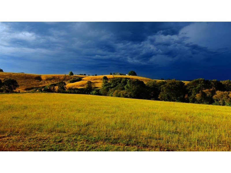 17 Comboyne Street, Comboyne NSW 2429