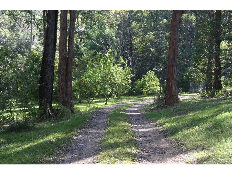 392 Rollands Plains Road, Telegraph Point NSW 2441