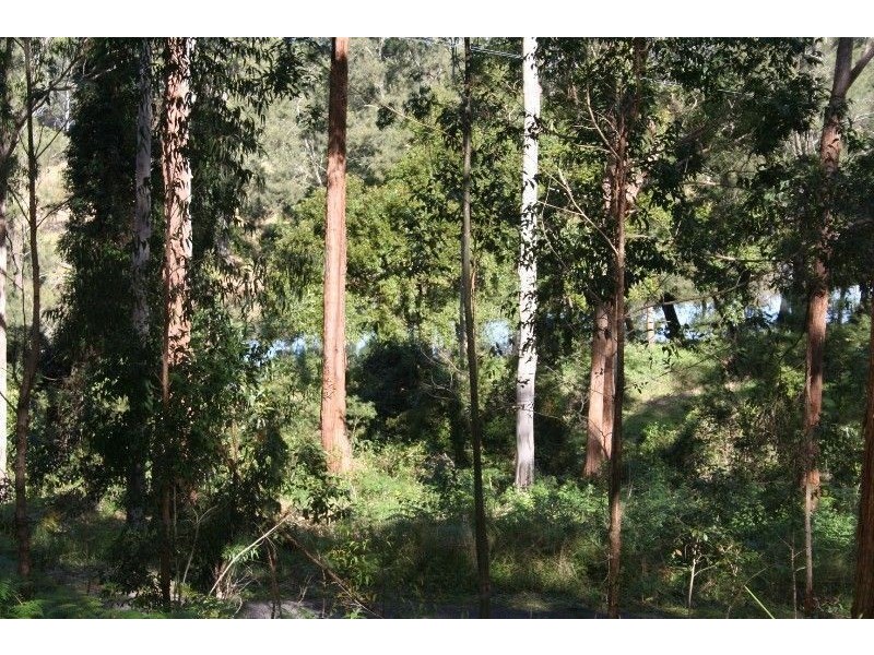 392 Rollands Plains Road, Telegraph Point NSW 2441