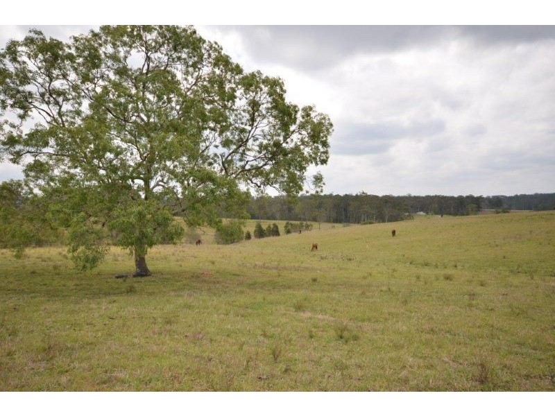 Lots 1-53 Ealing Grange Estate, Beechwood NSW 2446