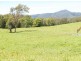 870 Comboyne Road, Byabarra NSW 2446