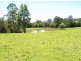 870 Comboyne Road, Byabarra NSW 2446