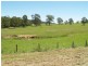 870 Comboyne Road, Byabarra NSW 2446