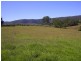 740 Forbes River Road, Birdwood NSW 2446