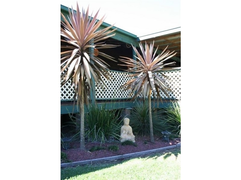 740 Forbes River Road, Birdwood NSW 2446