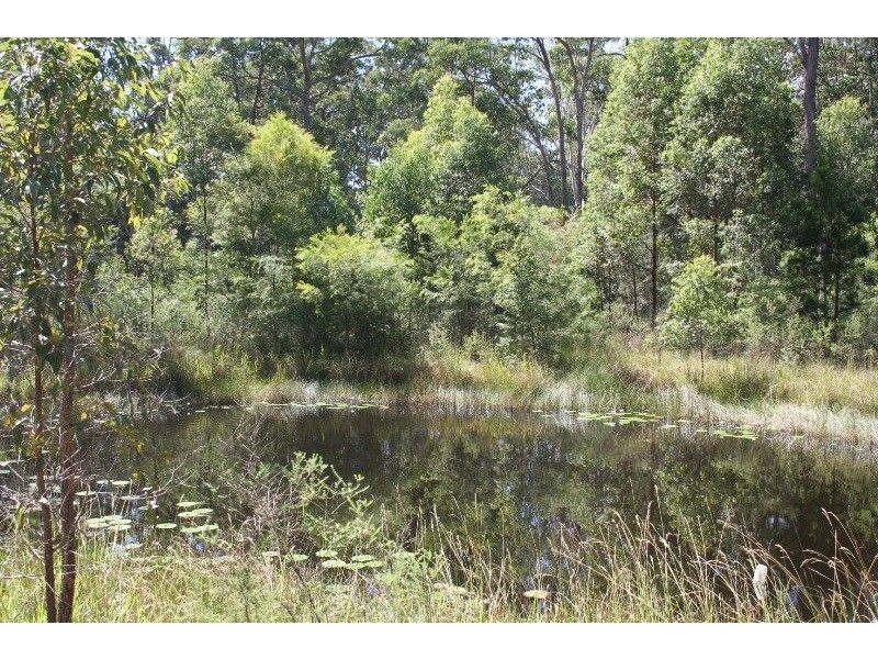 136 Upper Smiths Creek Road, Kundabung NSW 2441