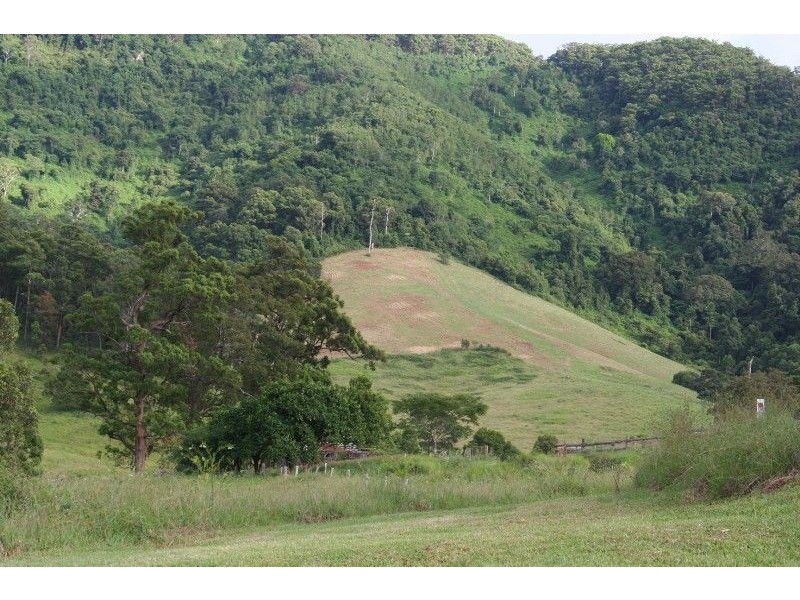 1161 Pipeclay Road, Pipeclay NSW 2446