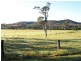 1496 Pipeclay Road, Pipeclay NSW 2446