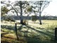 1496 Pipeclay Road, Pipeclay NSW 2446