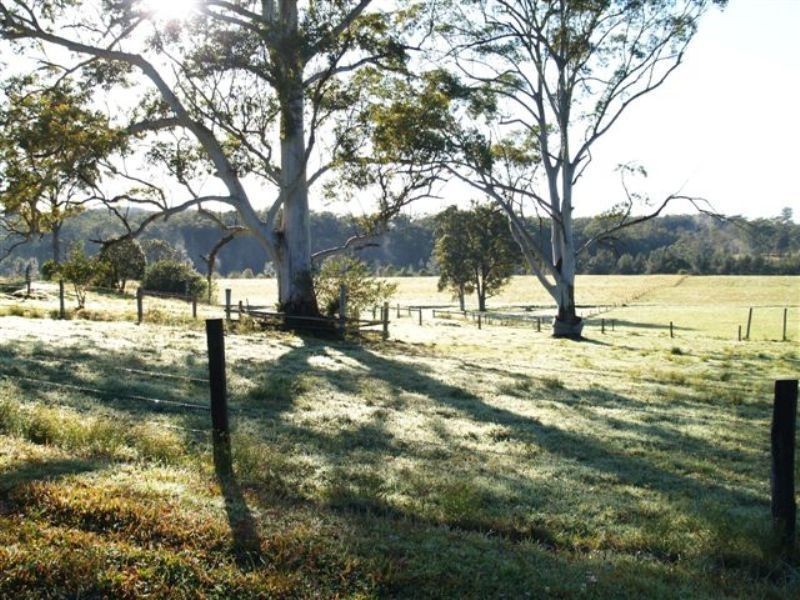 1496 Pipeclay Road, Pipeclay NSW 2446