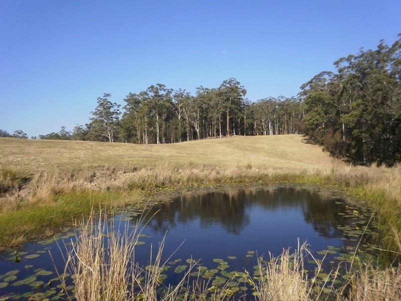 388 Red Hill Road, Telegraph Point NSW 2441