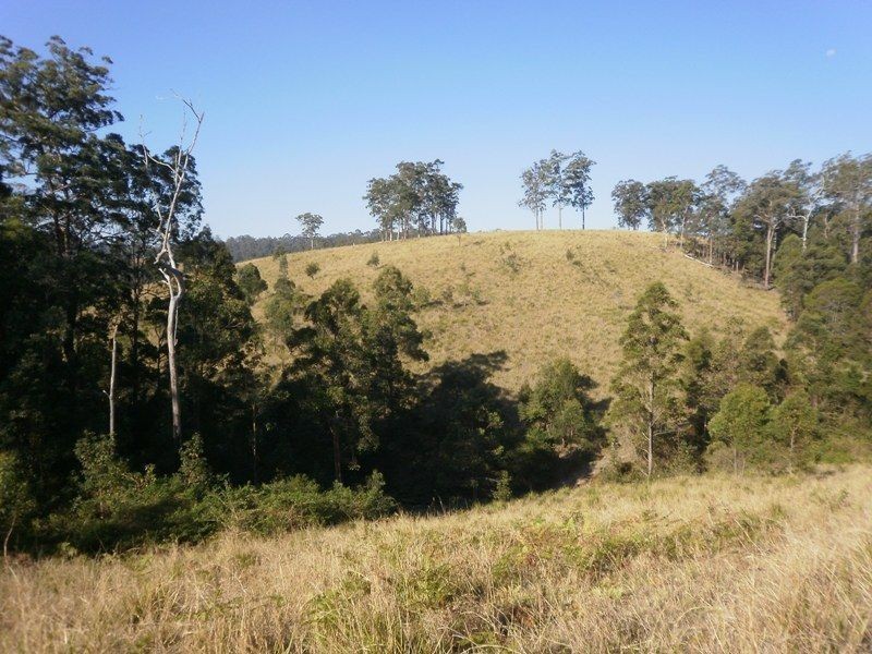 388 Red Hill Road, Telegraph Point NSW 2441