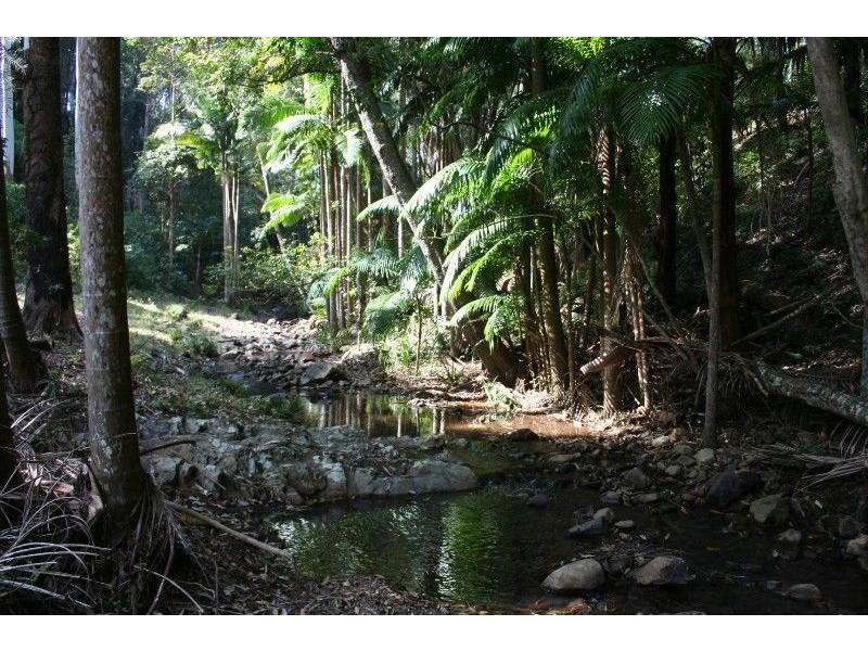 388 Red Hill Road, Telegraph Point NSW 2441