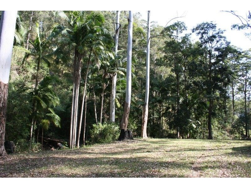 388 Red Hill Road, Telegraph Point NSW 2441