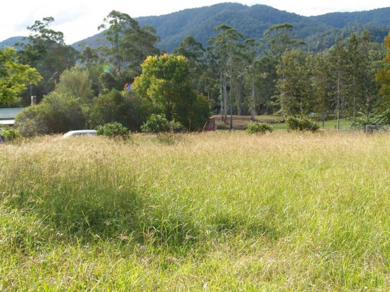 17 Main Street, Long Flat NSW 2446