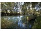 2260 Pappinbarra Rd, Upper Pappinbarra NSW 2446