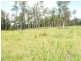 Lot 1 Brookhouse Rd, Pembrooke NSW 2446