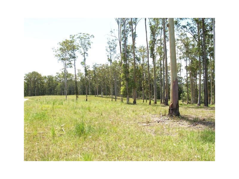 Lot 1 Brookhouse Rd, Pembrooke NSW 2446