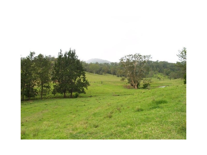 458 Bunnoo River Rd, Ellenborough NSW 2446