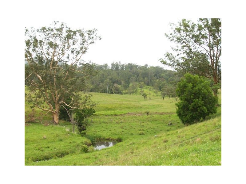 458 Bunnoo River Rd, Ellenborough NSW 2446