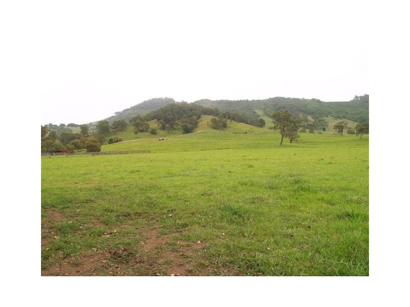 458 Bunnoo River Rd, Ellenborough NSW 2446