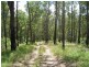 Lot 31 Cells River Rd, Yarras NSW 2446