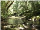 Lot 31 Cells River Rd, Yarras NSW 2446