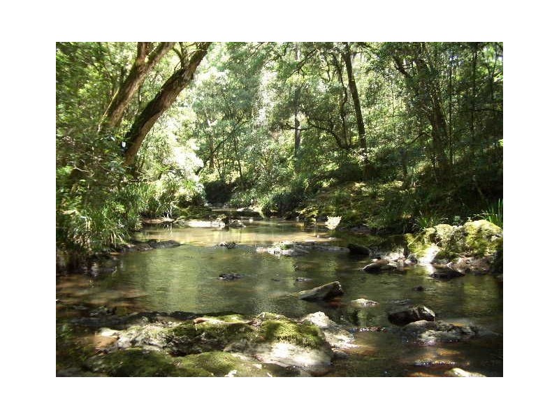 Lot 31 Cells River Rd, Yarras NSW 2446